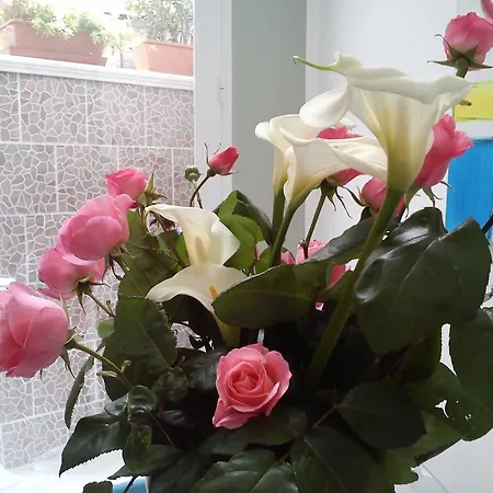 فندق مبيت وإفطار Casaberry 3*